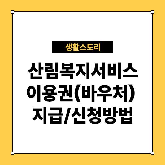 산림복지서비스이용권 바우처 지급 및 신청 방법 총정리 (2025년 최신)