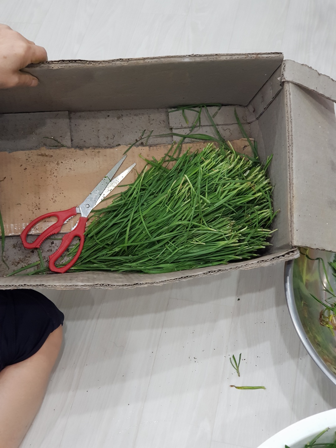 저 정도 부추 1단 분량 정도를 서비스로 받음 ㅎㅎ