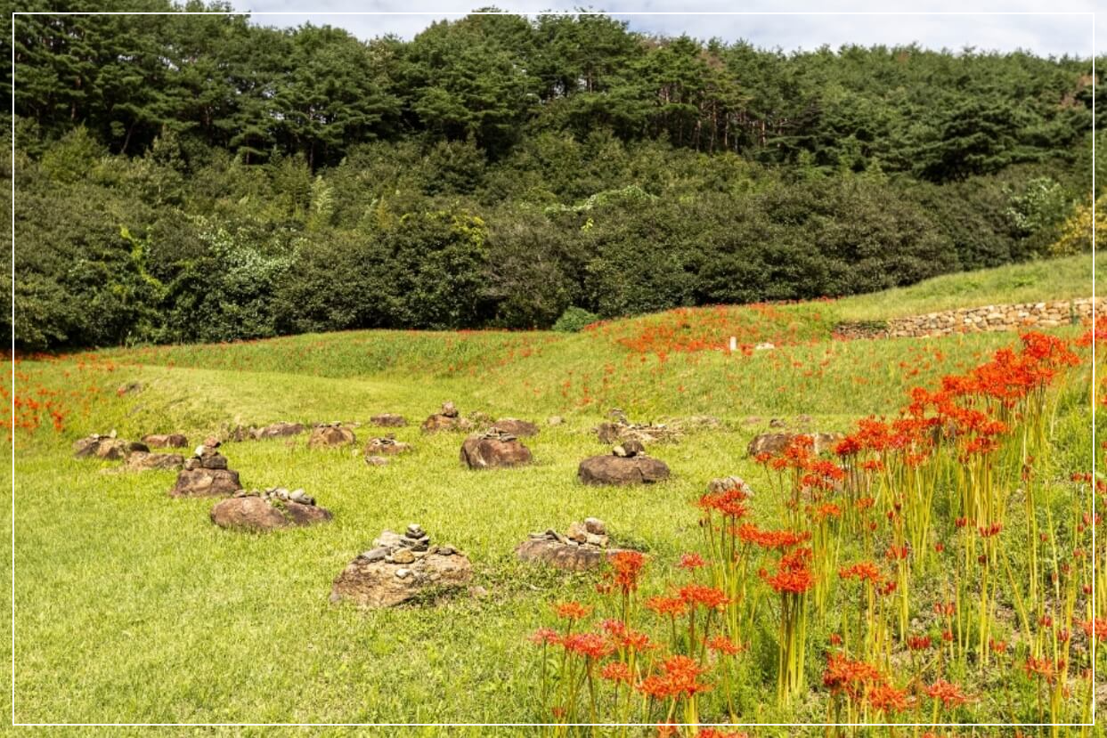광양 가볼만한곳 베스트10 옥룡사지 동백나무숲