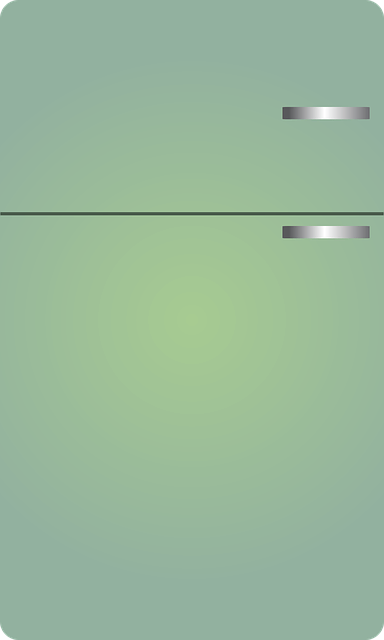 차량용 냉장고 실사용 후기