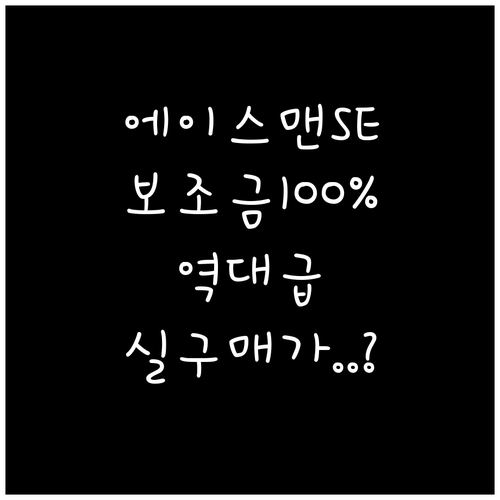 미니 에이스맨 SE 전기차 보조금 1..