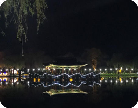 부여 국화축제 2025 행사안내&amp;#44;주차정보&amp;#44;맛집 가을 여행 필수코스!