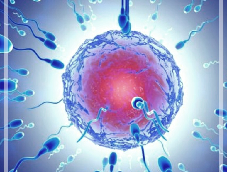 정관수술 후 정자 검사 방법