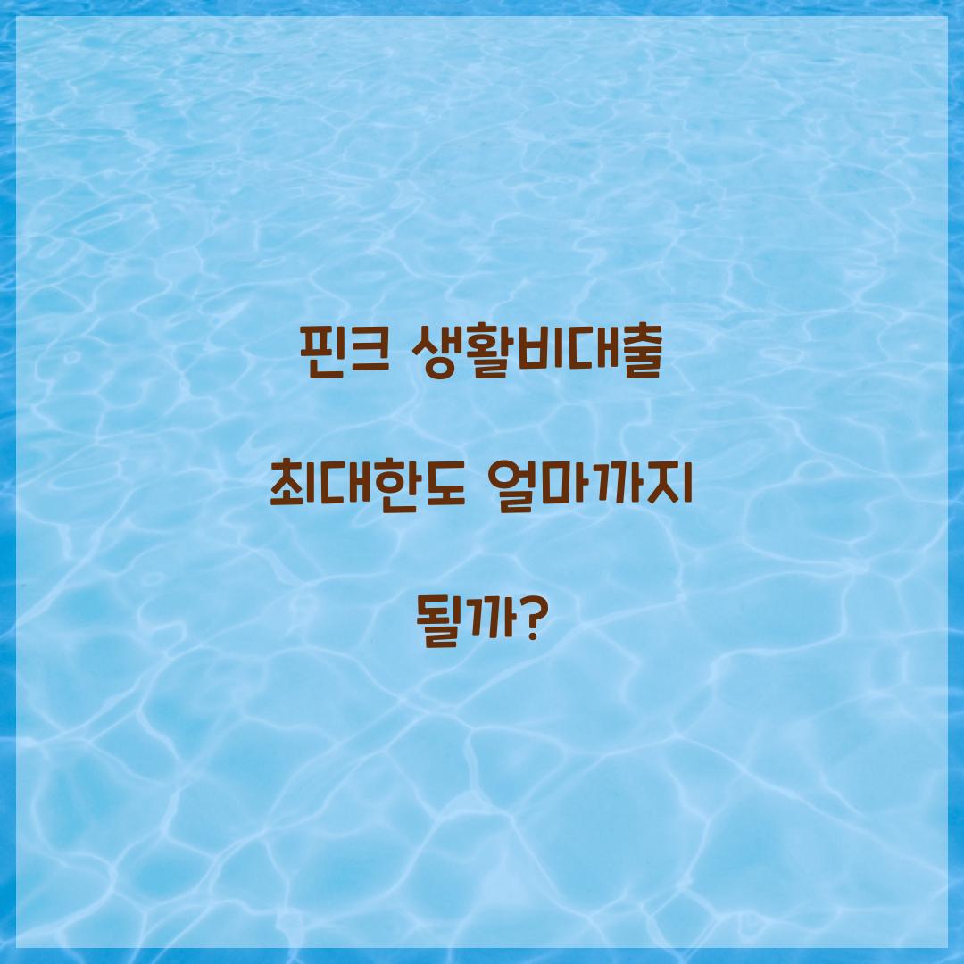 핀크 생활비대출 최대한도 얼마까지 될까?