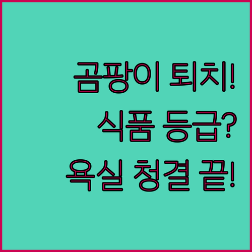 물때 곰팡이 걱정 끝 식품 등급 실리..