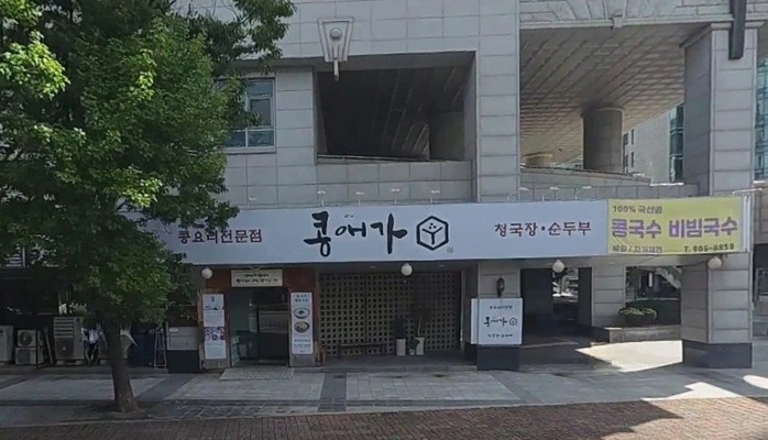콩애가