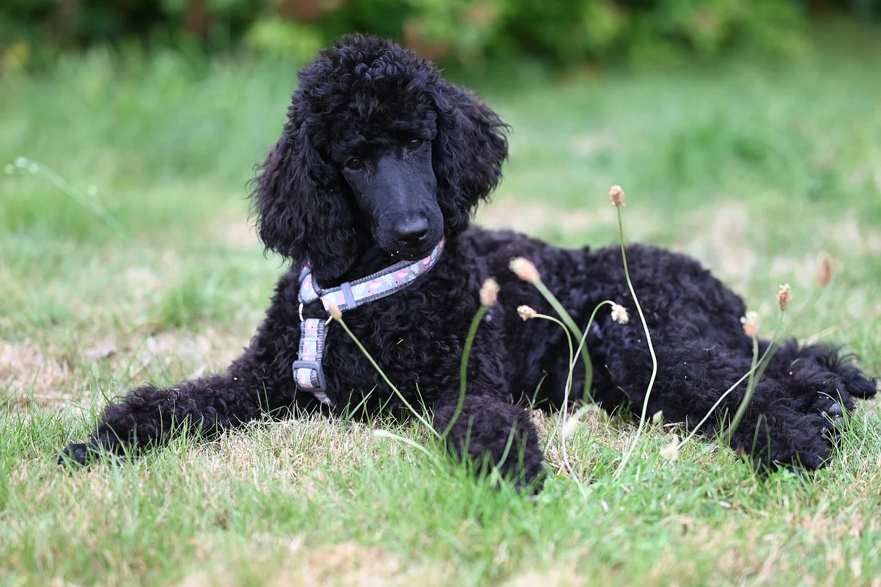 송파구 9시 이후 늦게까지 운영하는 맛집 Best4