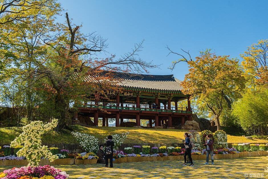 삼척 가볼만한곳 베스트 10