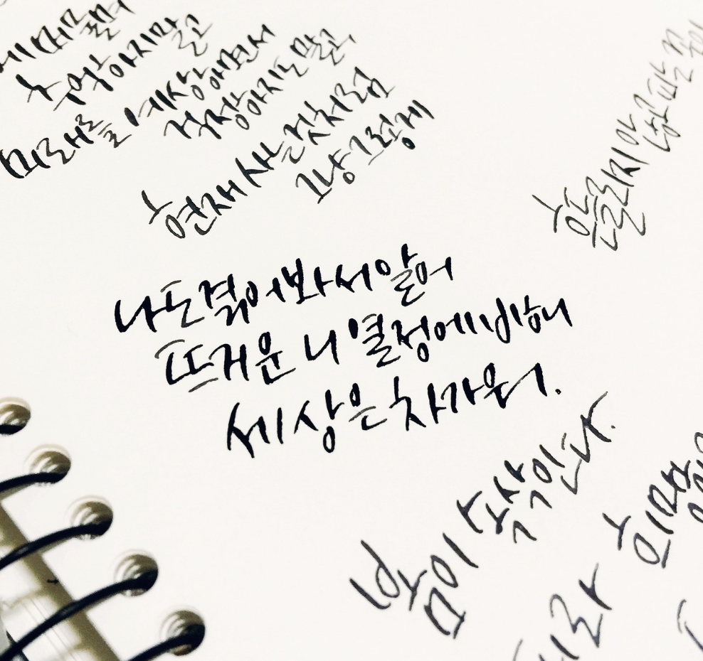 미라클 모닝루틴3 : 하루를 명언에 맡겨보다 🎲