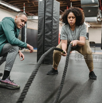 AST ALT 수치 상승