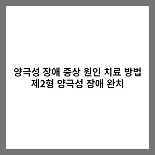 양극성 장애 증상 원인 치료 방법 제2형 양극성 장애 완치