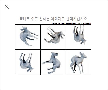 로블록스 인간 인증