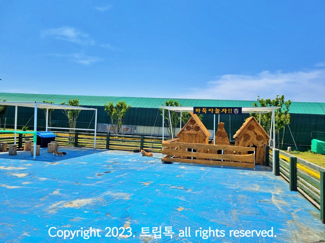 야외 파란 바닥에 개집이 있다