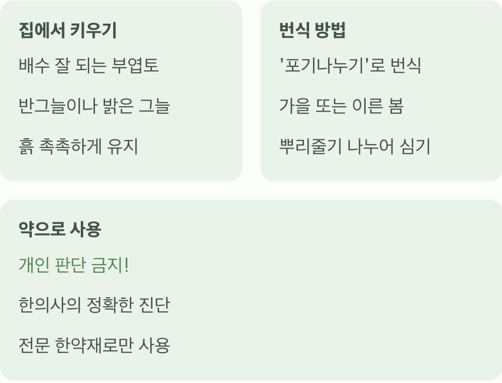 땅에 붙어 피는 신비의 꽃, 족두리풀의 모든 것