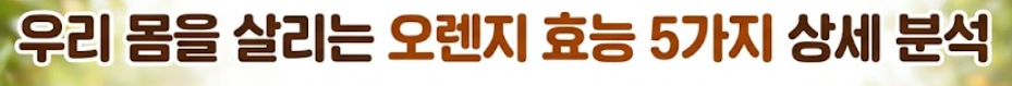 오렌지 효능