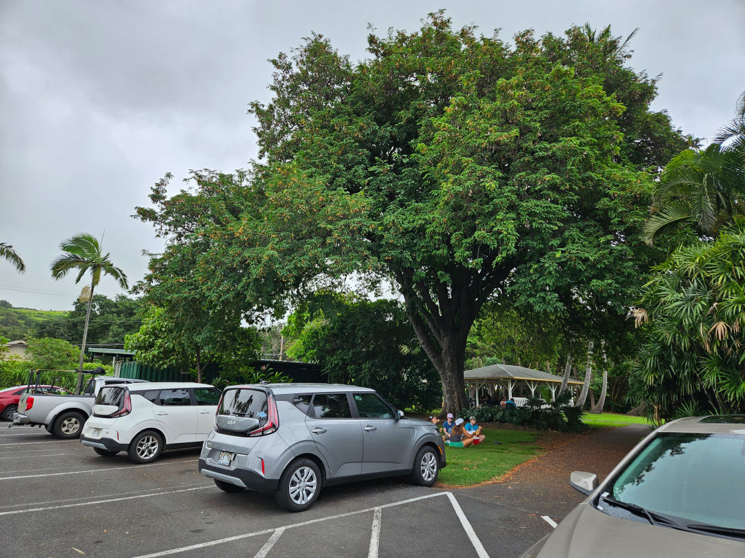 푸날루우 베이크샵 주차장