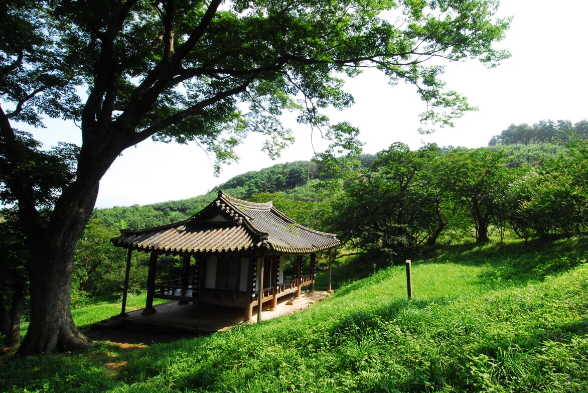 담양 명옥헌 원림 배롱나무