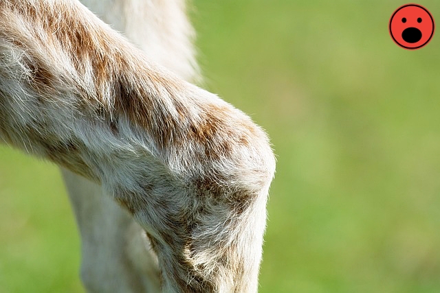 관절 통증 완화 운동