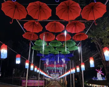 평창 백일홍 축제_12