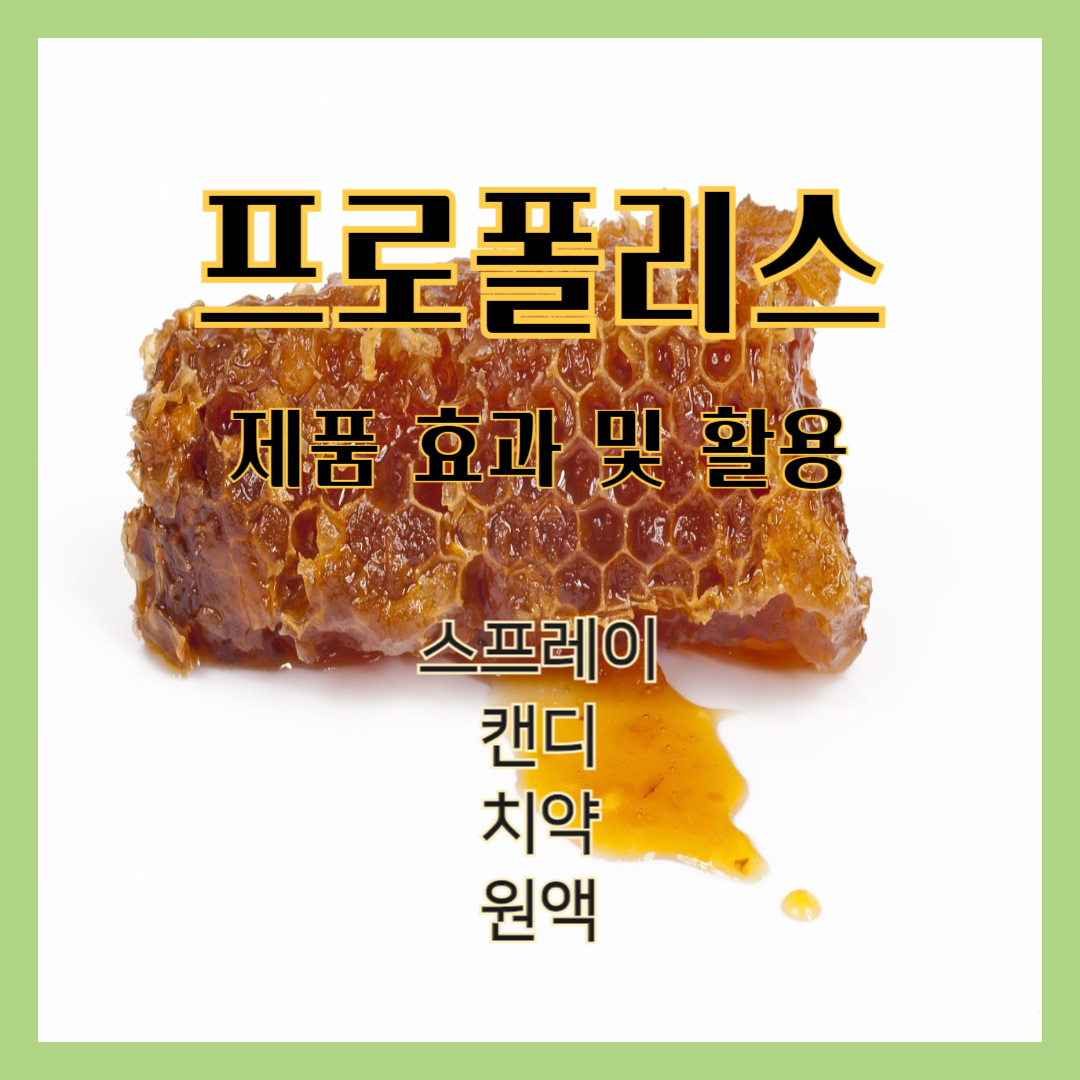프로폴리스 제품
