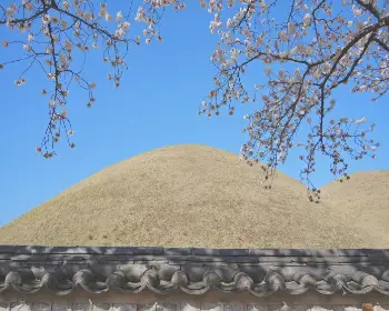 경주벚꽃축제_6