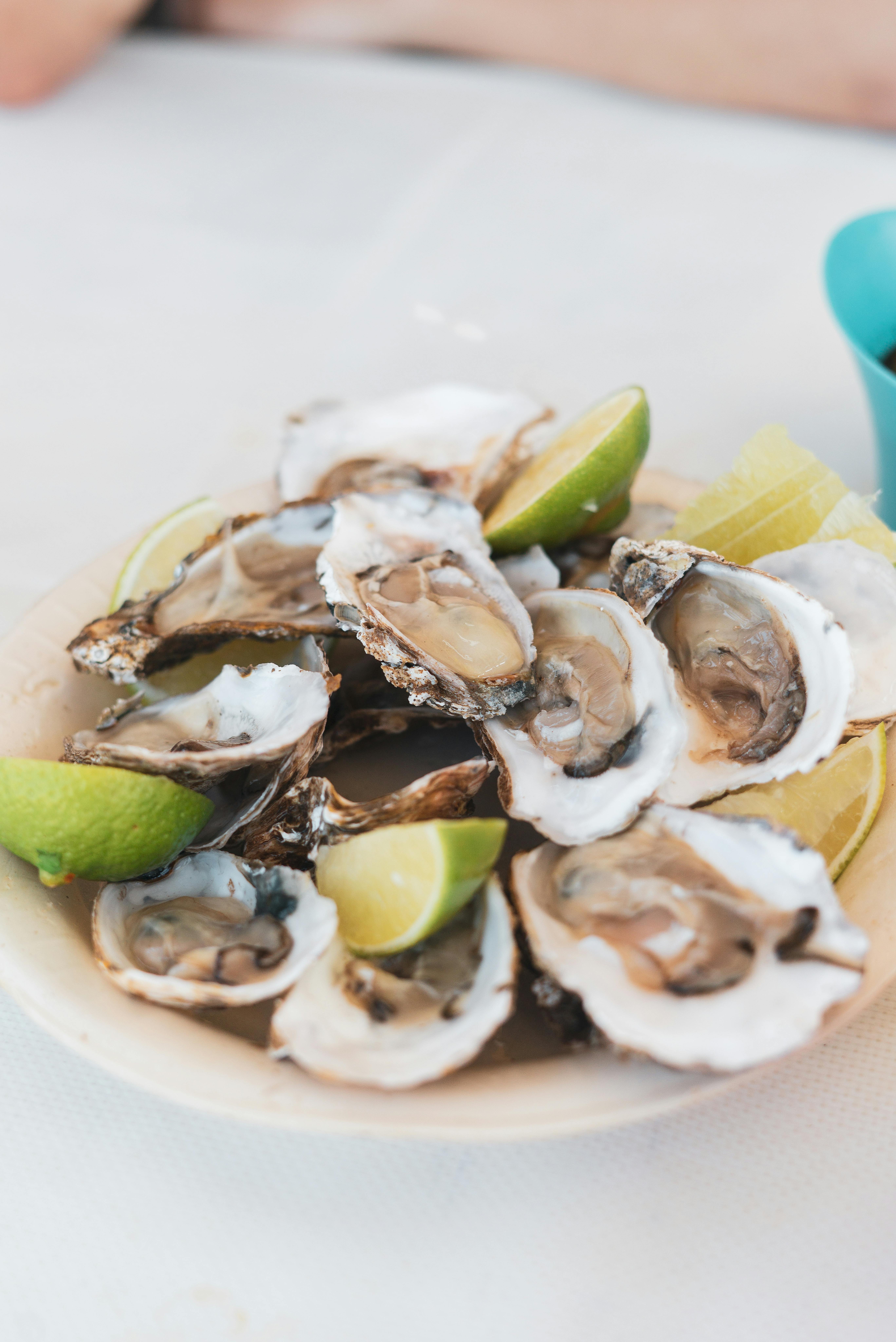 겨울 생굴 노로바이러스 증상 및 올바른 세척 관리