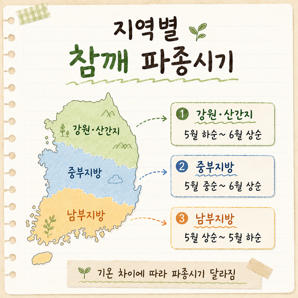 참깨 파종시기