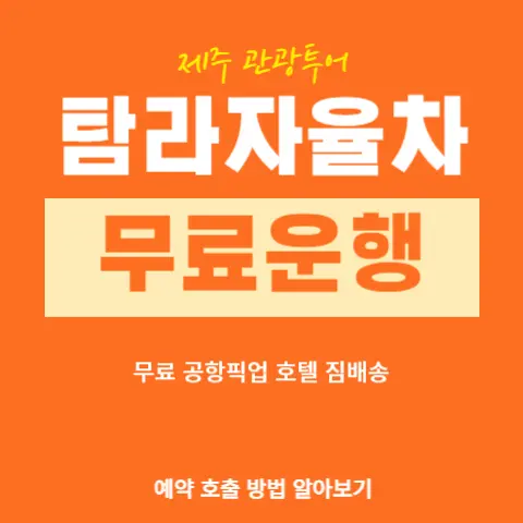 제주-탐라자율차-무료-운행-공항픽업-짐배송