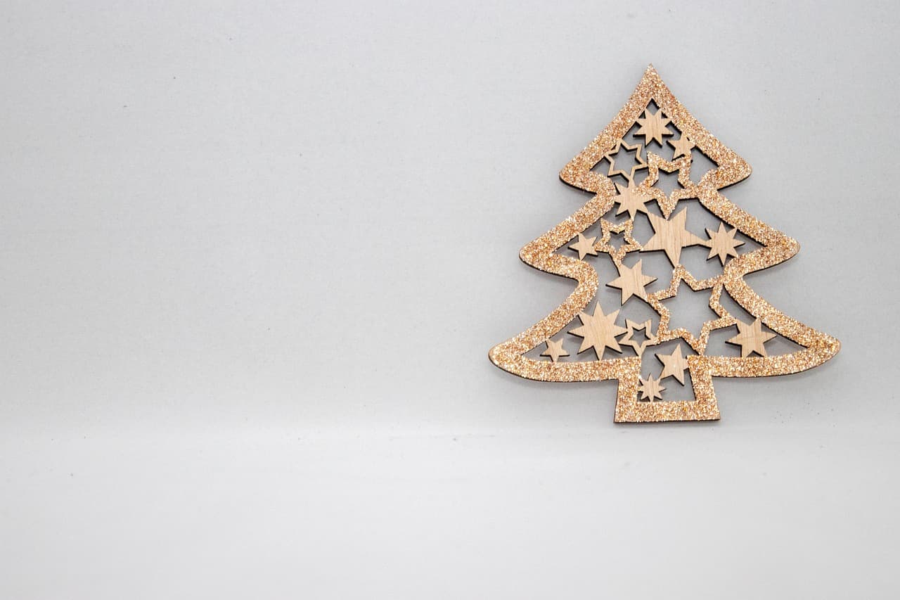 연세대 정시 합격자 발표