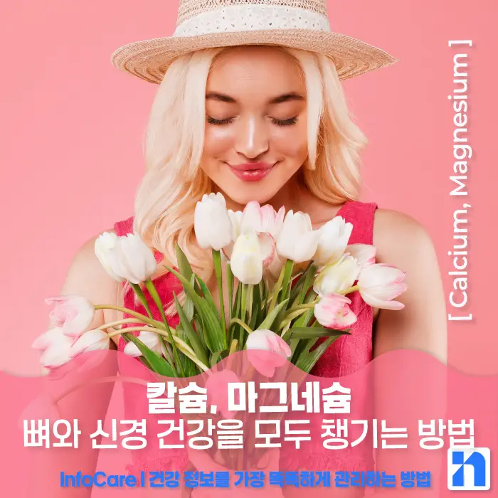 칼슘 마그네슘 영양제 효능, 먹는 방법