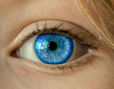 눈에 날파리 현상