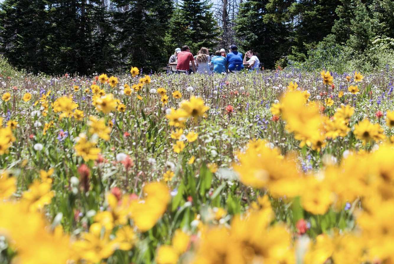 한국 소아완화의료