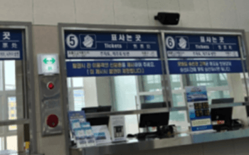 진도에서_추자도_가는_방법