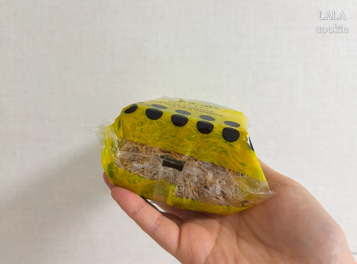 고양이가-좋아하는-풀-캣그라스-귀리-뿌리부분-깨끗