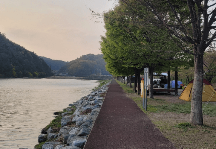 영천 곰들덤공원 캠핑장