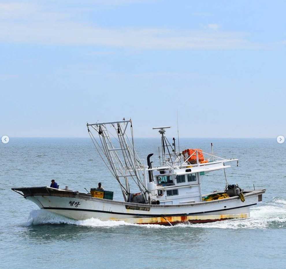 서천 자연산 광어 도미 축제 기본정보