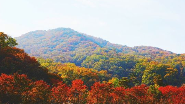 2025 경기도 단풍 명산 BEST ❘ 북한산&middot;남한산성&middot;광교산 등 추천 코스
