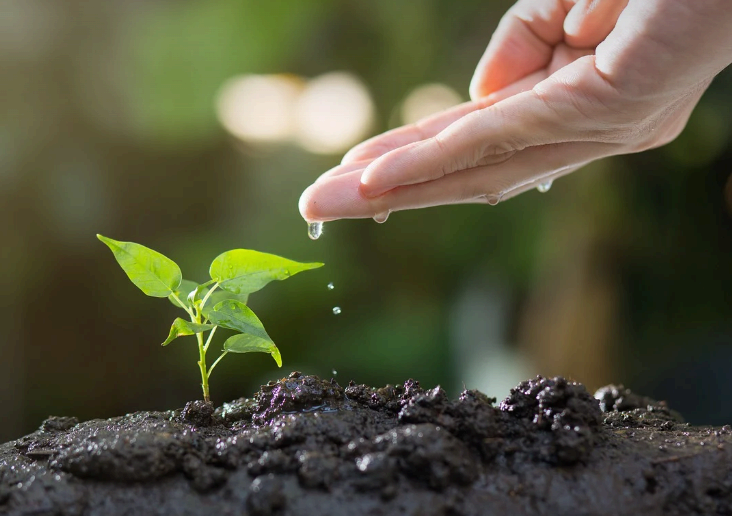 기후불안을 넘어, 아이들에게 행동의 중요성을 가르치기