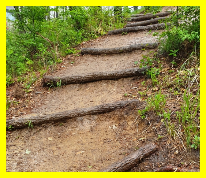 국립자연휴양림 예약&amp;#44; 국립자연휴양림 예약 성수기 추첨&amp;#44; 국립자연휴양림 추첨&amp;#44; 국립자연휴양림 성수기 추첨&amp;#44; 국립자연휴양림 성수기 예약 추첨&amp;#44; 국립자연휴양림 예약 신청방법&amp;#44; 국립자연휴양림 예약통합시스템&amp;#44;신시도 국립자연휴양림&amp;#44; 국립자연휴양림 위약금&amp;#44; 국립 자연휴양림 예약&amp;#44; 국립 자연휴양림 성수기 예약&amp;#44; 국립 자연휴양림 성수기 추첨&amp;#44; 국립 자연휴양림 성수기 추첨 예약&amp;#44; 국립 자연휴양림 예약 성수기 추첨&amp;#44; 국립 자연휴양림 예약 신청방법