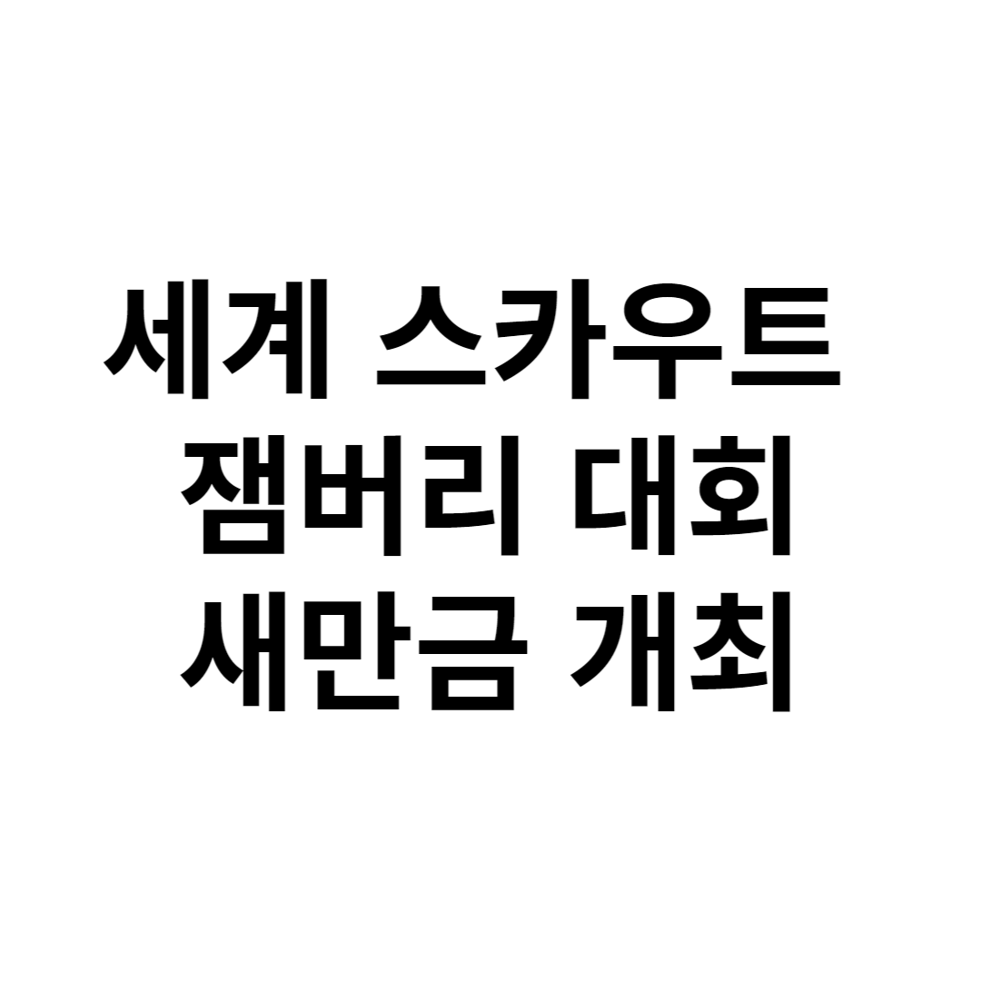 세계 스카우트 잼버리 대회 썸네일 사진