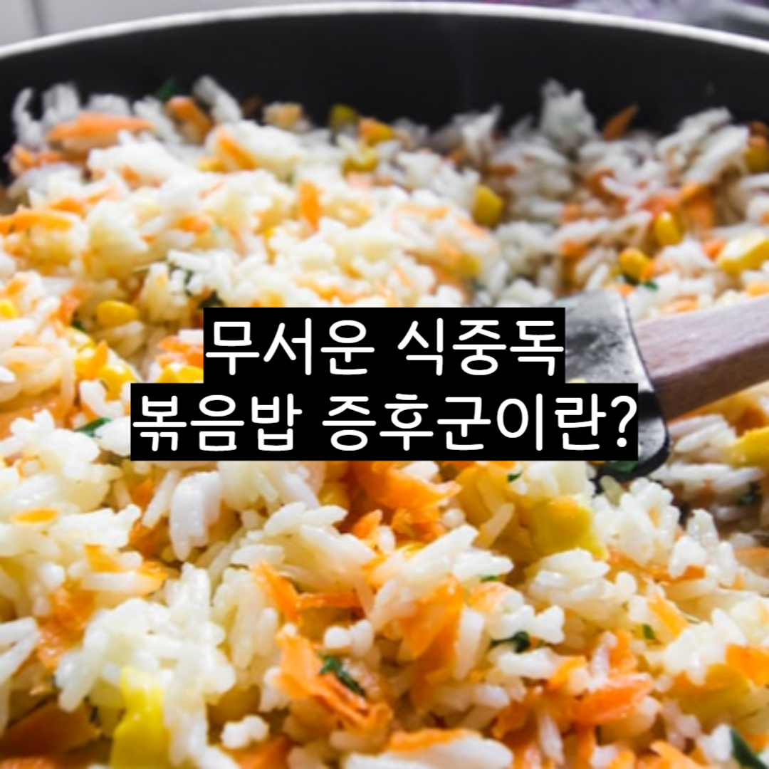 식중독 볶음밥 증후군 볶음밥 사진