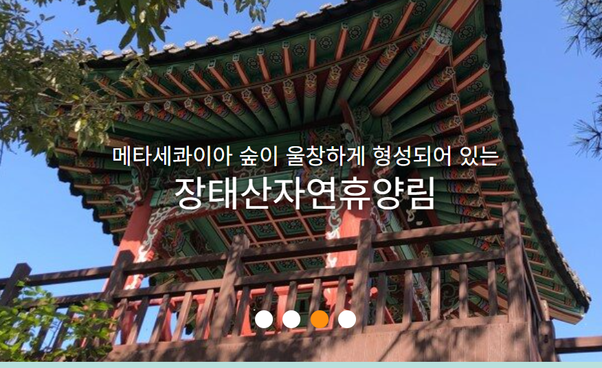 장태산 단풍