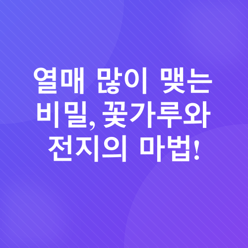 레몬나무 키우기_4