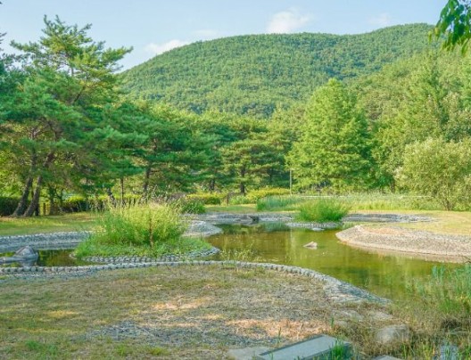 경남 여행지 추천 ❘ 밀양 가볼만한 곳 베스트 10. 밀양댐 생태공원