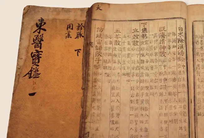 맥문동-동의보감