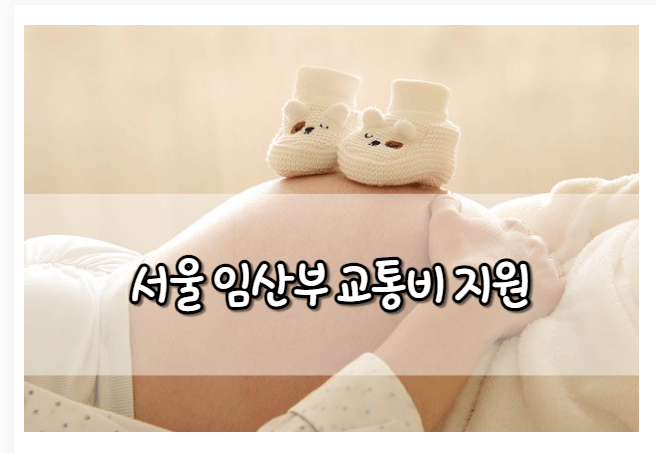 서울 임산부 교통비 지원