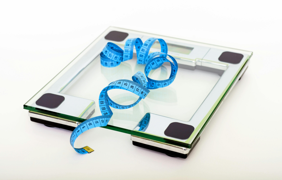 비만 청소년 다이어트 팁