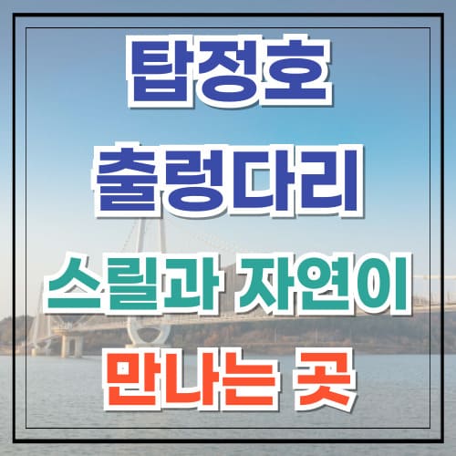 탑정호 출렁다리 스릴과 자연이 만나는 곳