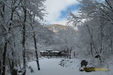 국립자연휴양림