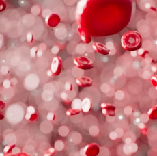 혈관 건강 지키는 7계명 영양제 습관